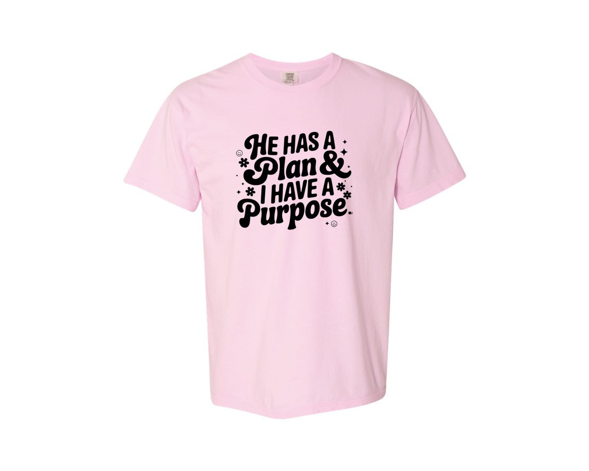 brand:Comfort Colors|color:Blossom|He Has A Plan And I Have A Purpose D Graphic T-Shirt