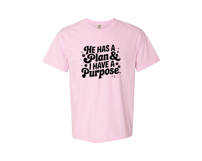 brand:Comfort Colors|color:Blossom|He Has A Plan And I Have A Purpose D Graphic T-Shirt