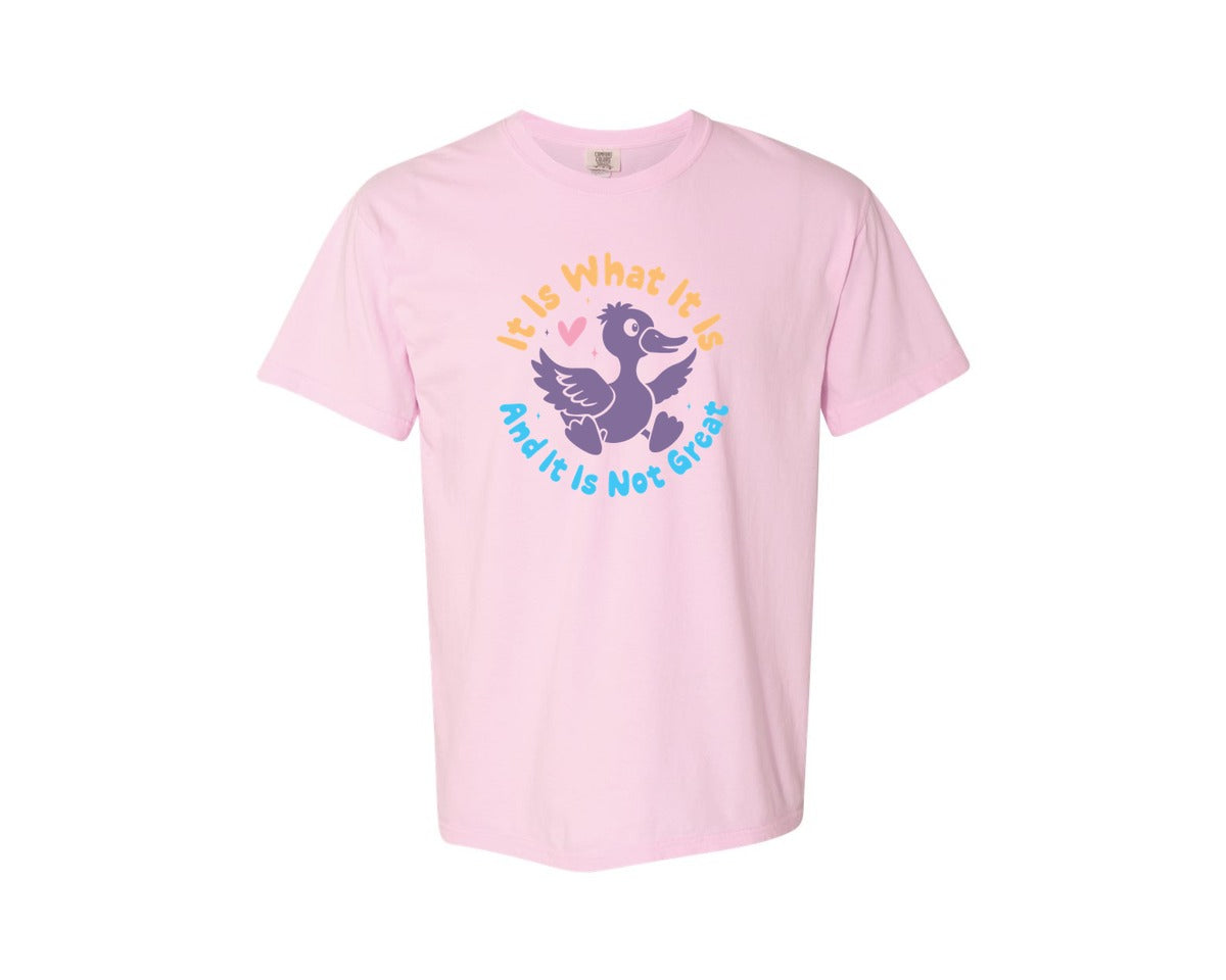brand:Comfort Colors|color:Blossom|It Is What It Is And It Is Not Great 12 Graphic T-Shirt