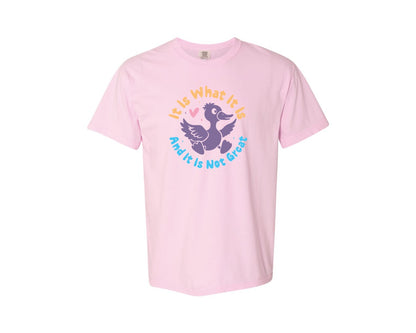 brand:Comfort Colors|color:Blossom|It Is What It Is And It Is Not Great 12 Graphic T-Shirt