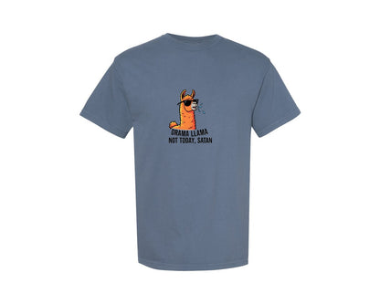 brand:Comfort Colors|color:Blue Jean|Drama Llamas Protest Graphic T-Shirt