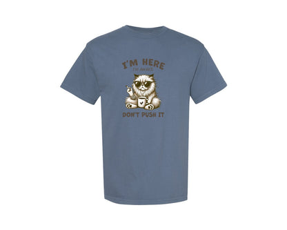 brand:Comfort Colors|color:Blue Jean|Funny Cat Sarcastic Im Here Im Awake Graphic T-Shirt