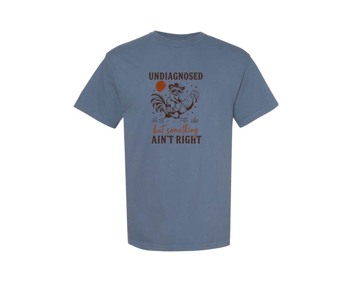 brand:Comfort Colors|color:Blue Jean|Undiagnosed But Something Aint Right 13 Graphic T-Shirt