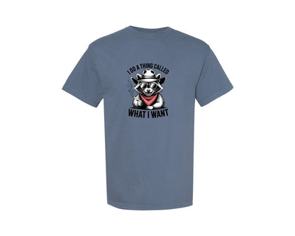 brand:Comfort Colors|color:Blue Jean|I Do What I Want Raccoon Attitude Tee Graphic T-Shirt