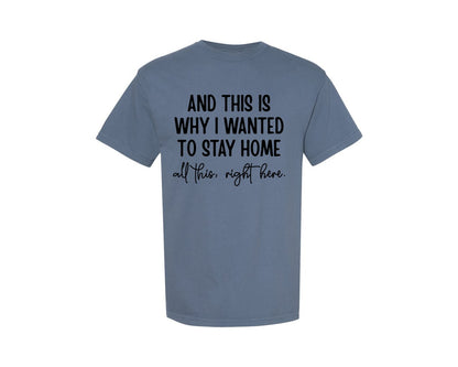 brand:Comfort Colors|color:Blue Jean|Funny Introvert Sarcastic Shirt Graphic T-Shirt