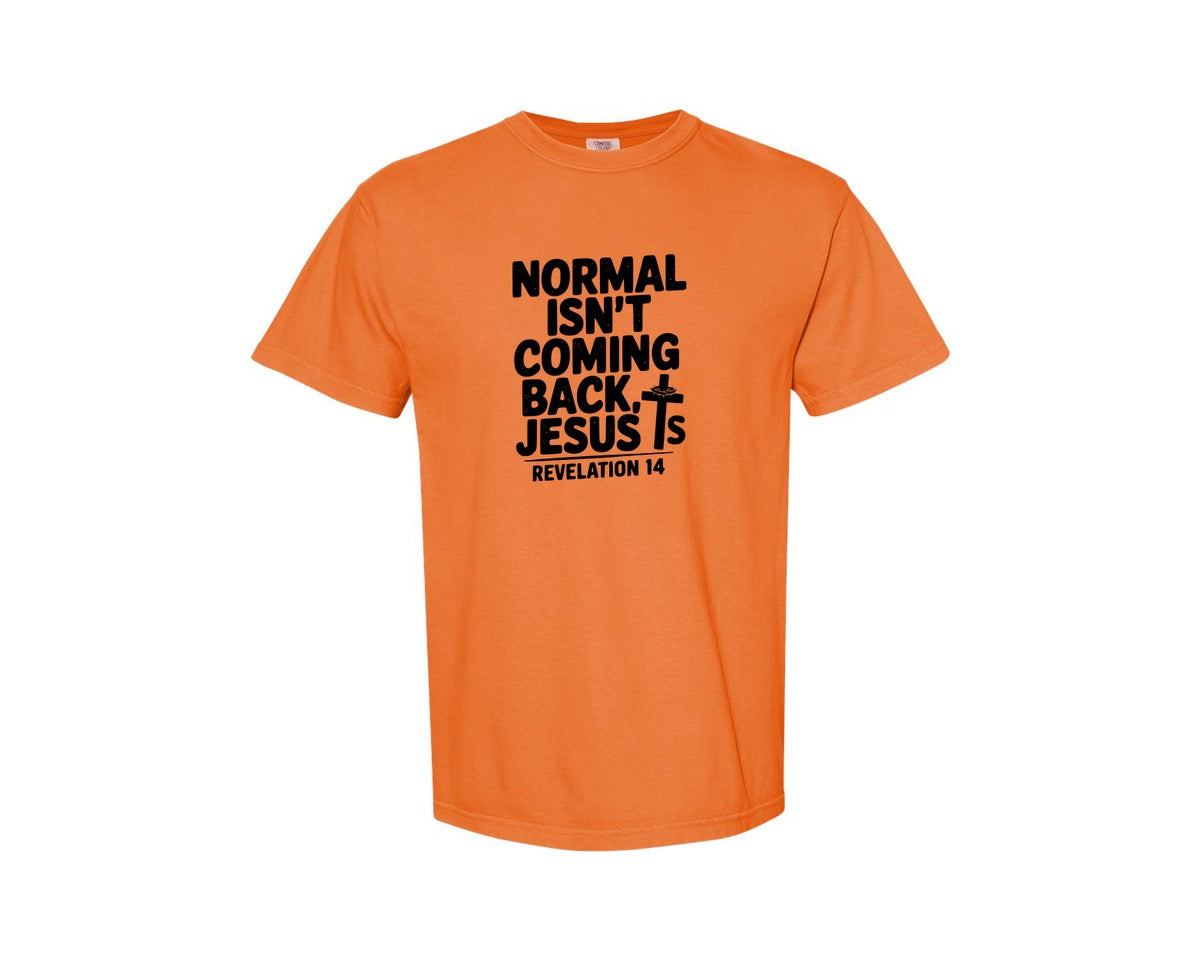 brand:Comfort Colors|color:Burnt Orange|Normal Isnt Coming Back But Jesus Is Sv Graphic T-Shirt