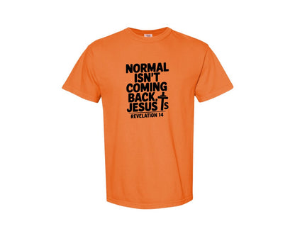 brand:Comfort Colors|color:Burnt Orange|Normal Isnt Coming Back But Jesus Is Sv Graphic T-Shirt