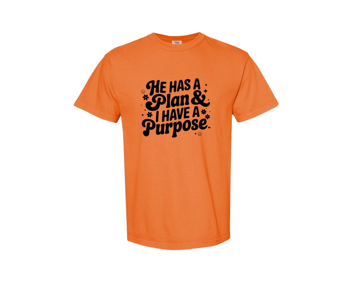 brand:Comfort Colors|color:Burnt Orange|He Has A Plan And I Have A Purpose D Graphic T-Shirt