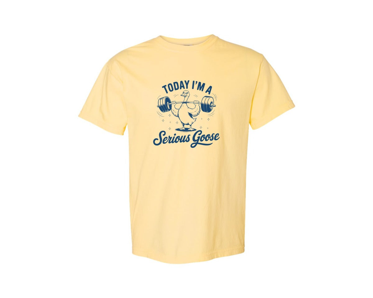 brand:Comfort Colors|color:Butter|Today Im A Serious Goose Bird T Shirt S Graphic T-Shirt