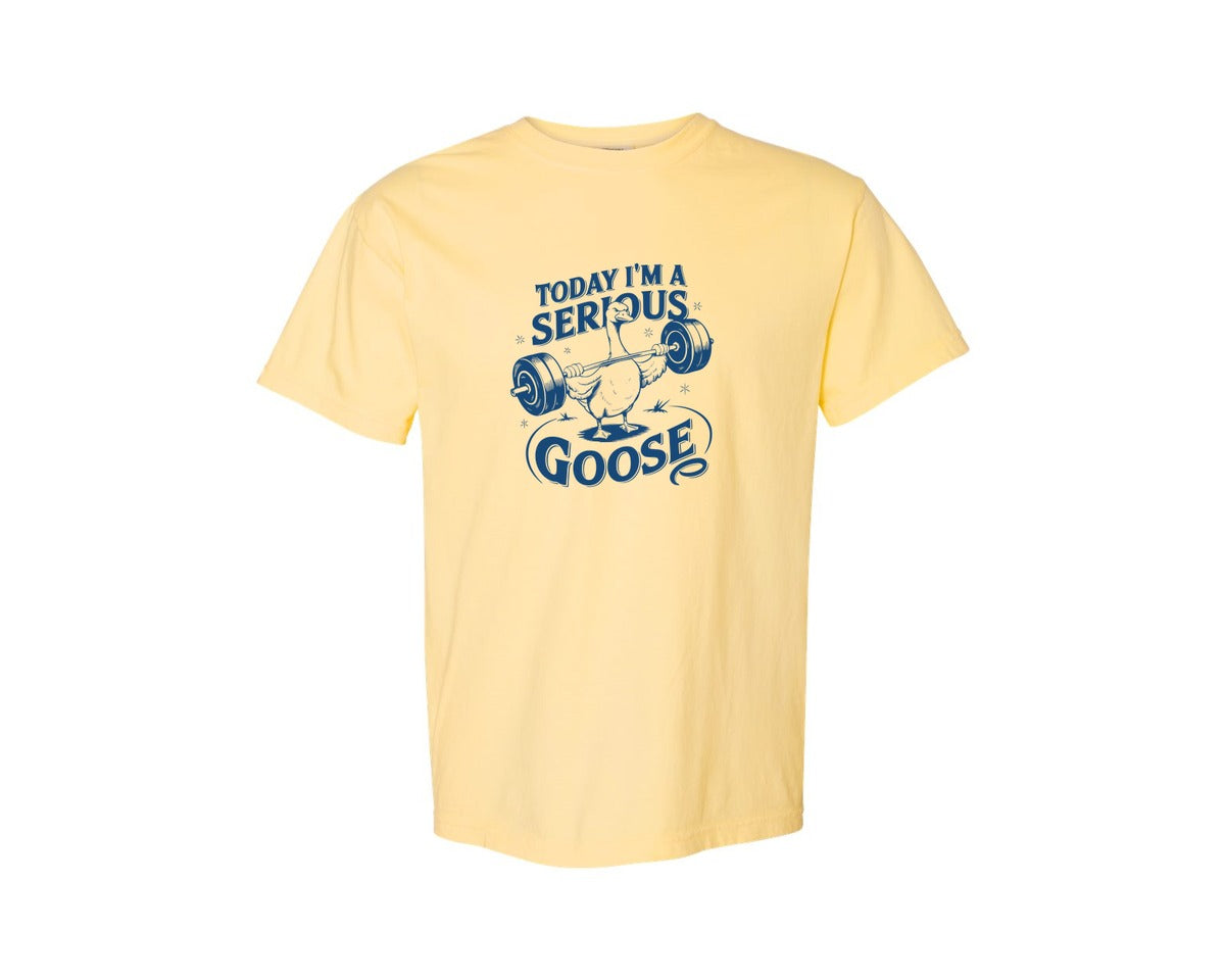 brand:Comfort Colors|color:Butter|Today Im A Serious Goose Bird T Shirt 2 Graphic T-Shirt