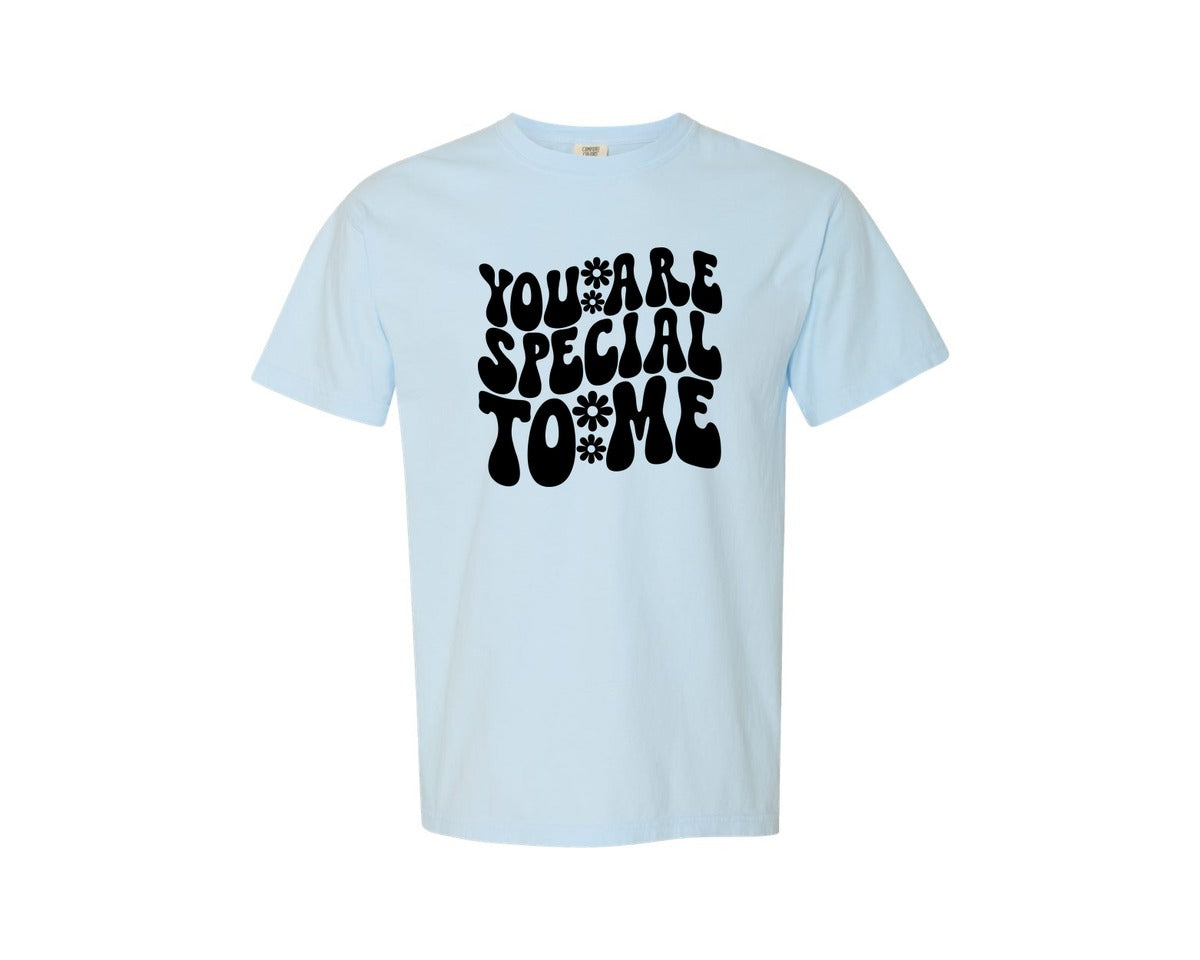 brand:Comfort Colors|color:Chambray|You Are Special To Me 2 Graphic T-Shirt