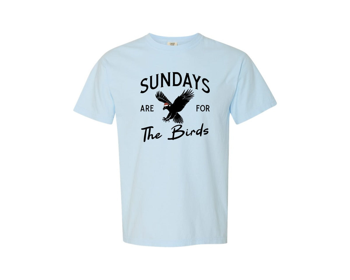 brand:Comfort Colors|color:Chambray|Sundays Are For The Birds Philadelphia Graphic T-Shirt