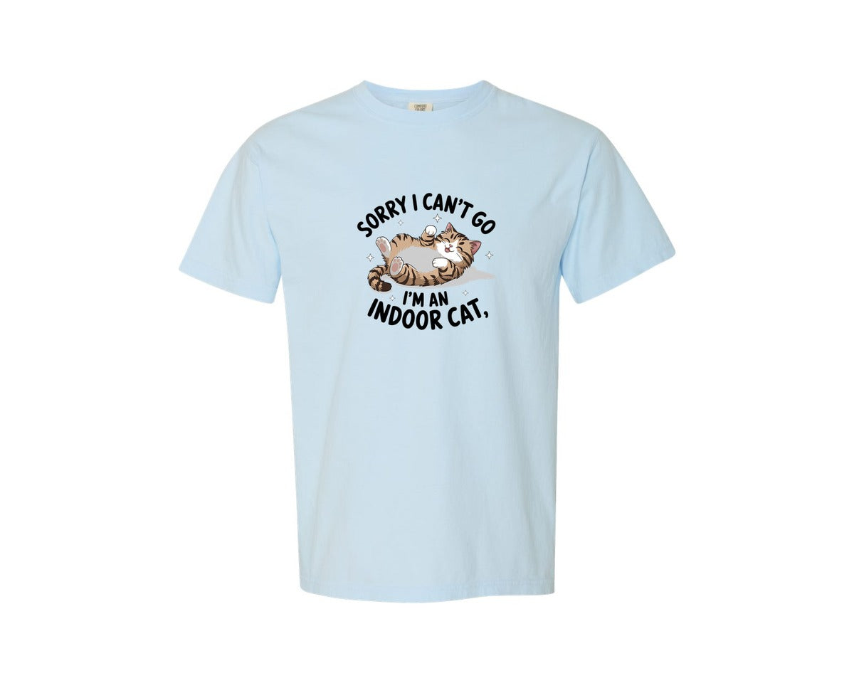 brand:Comfort Colors|color:Chambray|Funny Sarcastic 25 Graphic T-Shirt