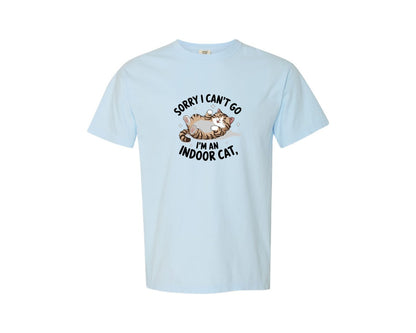 brand:Comfort Colors|color:Chambray|Funny Sarcastic 25 Graphic T-Shirt