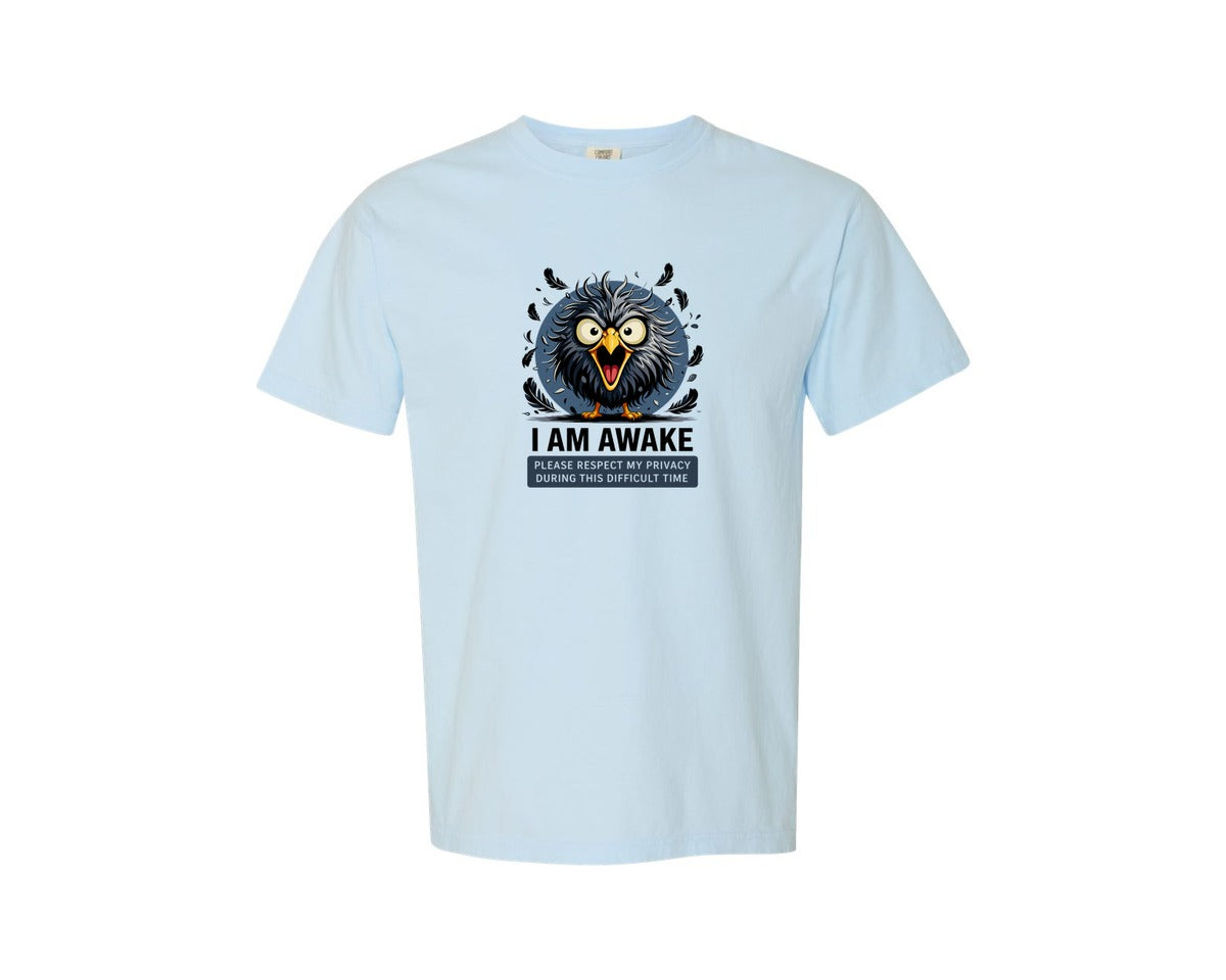 brand:Comfort Colors|color:Chambray|Please Respect My Privacy Graphic T-Shirt