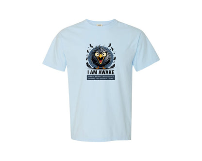 brand:Comfort Colors|color:Chambray|Please Respect My Privacy Graphic T-Shirt