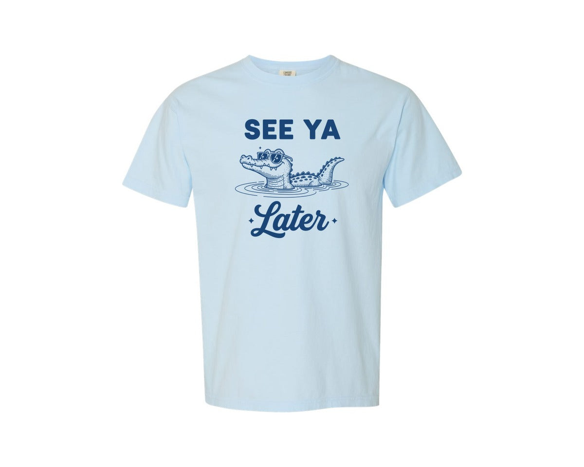 brand:Comfort Colors|color:Chambray|Sarcastic Humor Animal Saying Quotes Graphic T-Shirt