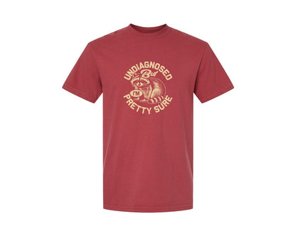 brand:Comfort Colors|color:Chili|Funny Raccoon Meme T Shirt 2 Graphic T-Shirt