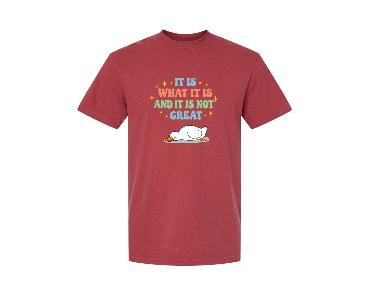 brand:Comfort Colors|color:Chili|Funny Duck It Is What It Is Graphic T-Shirt
