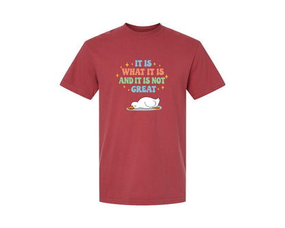 brand:Comfort Colors|color:Chili|Funny Duck It Is What It Is Graphic T-Shirt