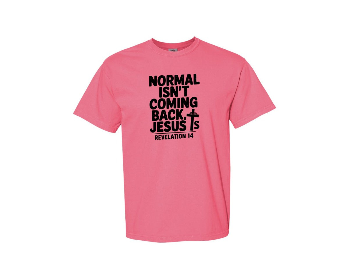 brand:Comfort Colors|color:Crunchberry|Normal Isnt Coming Back But Jesus Is Sv Graphic T-Shirt
