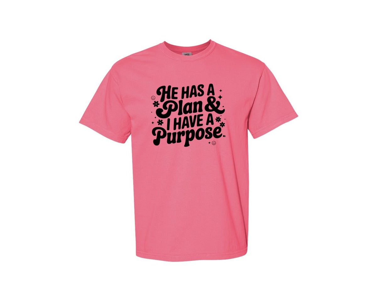 brand:Comfort Colors|color:Crunchberry|He Has A Plan And I Have A Purpose D Graphic T-Shirt