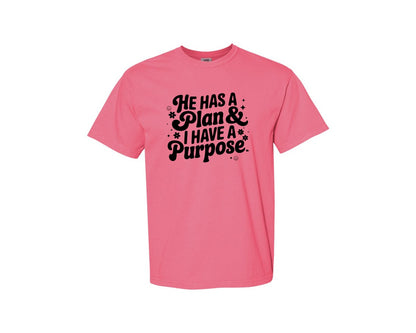 brand:Comfort Colors|color:Crunchberry|He Has A Plan And I Have A Purpose D Graphic T-Shirt