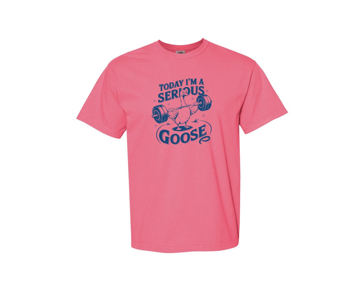 brand:Comfort Colors|color:Crunchberry|Today Im A Serious Goose Bird T Shirt 2 Graphic T-Shirt