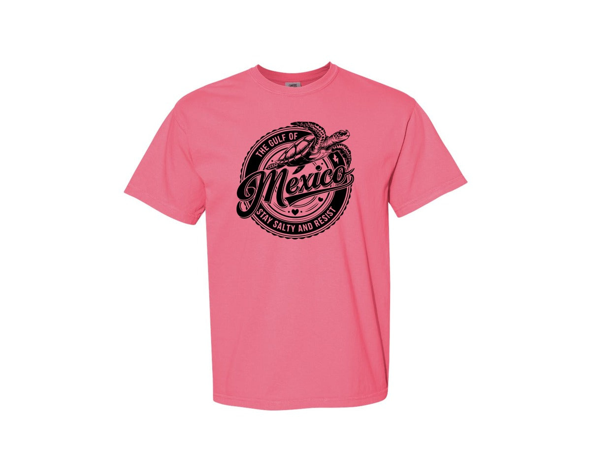 brand:Comfort Colors|color:Crunchberry|Gulf Of Mexico Turtle Beach Graphic T-Shirt