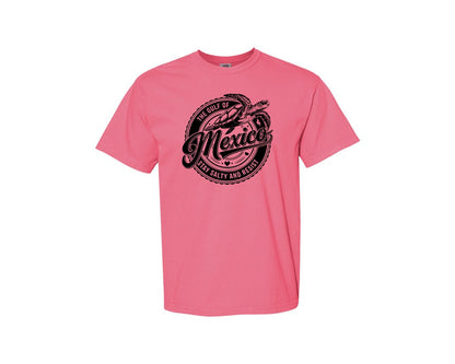 brand:Comfort Colors|color:Crunchberry|Gulf Of Mexico Turtle Beach Graphic T-Shirt
