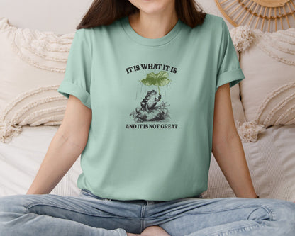 brand:Bella Canvas|color:Dusty Blue|It Is What It Is Not Great Vintage Frog Graphic T-Shirt