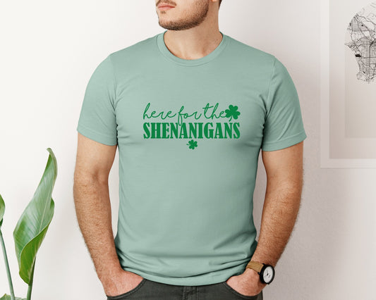 Here For Shenanigans 2 Graphic T-Shirt