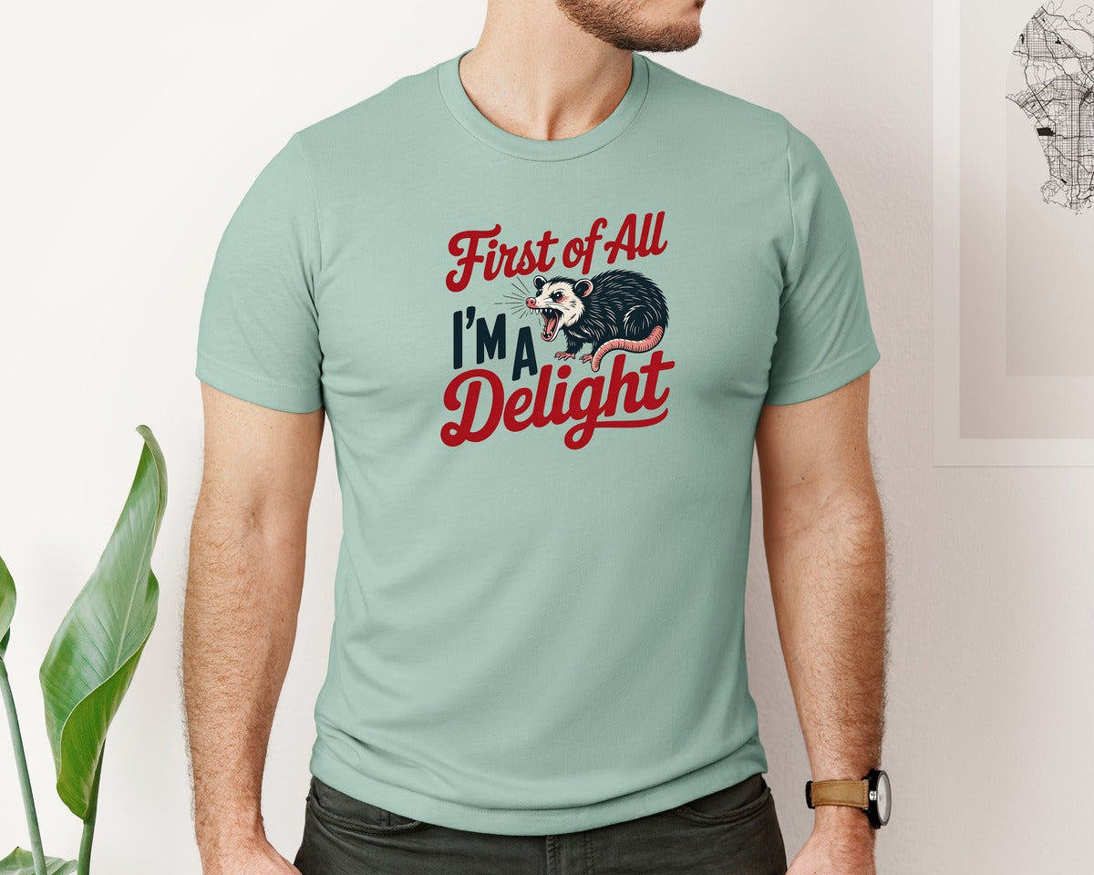brand:Bella Canvas|color:Dusty Blue|First Of All Im A Delight Sarcastic 3 Graphic T-Shirt