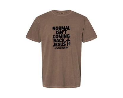 brand:Comfort Colors|color:Espresso|Normal Isnt Coming Back But Jesus Is Sv Graphic T-Shirt