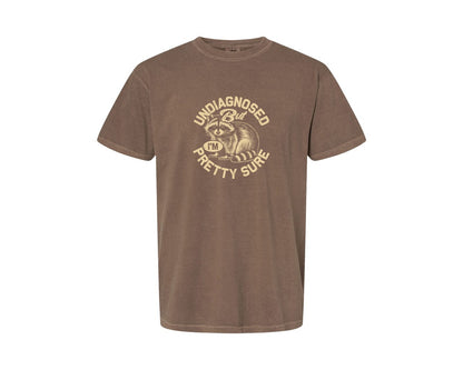 brand:Comfort Colors|color:Espresso|Funny Raccoon Meme T Shirt 2 Graphic T-Shirt