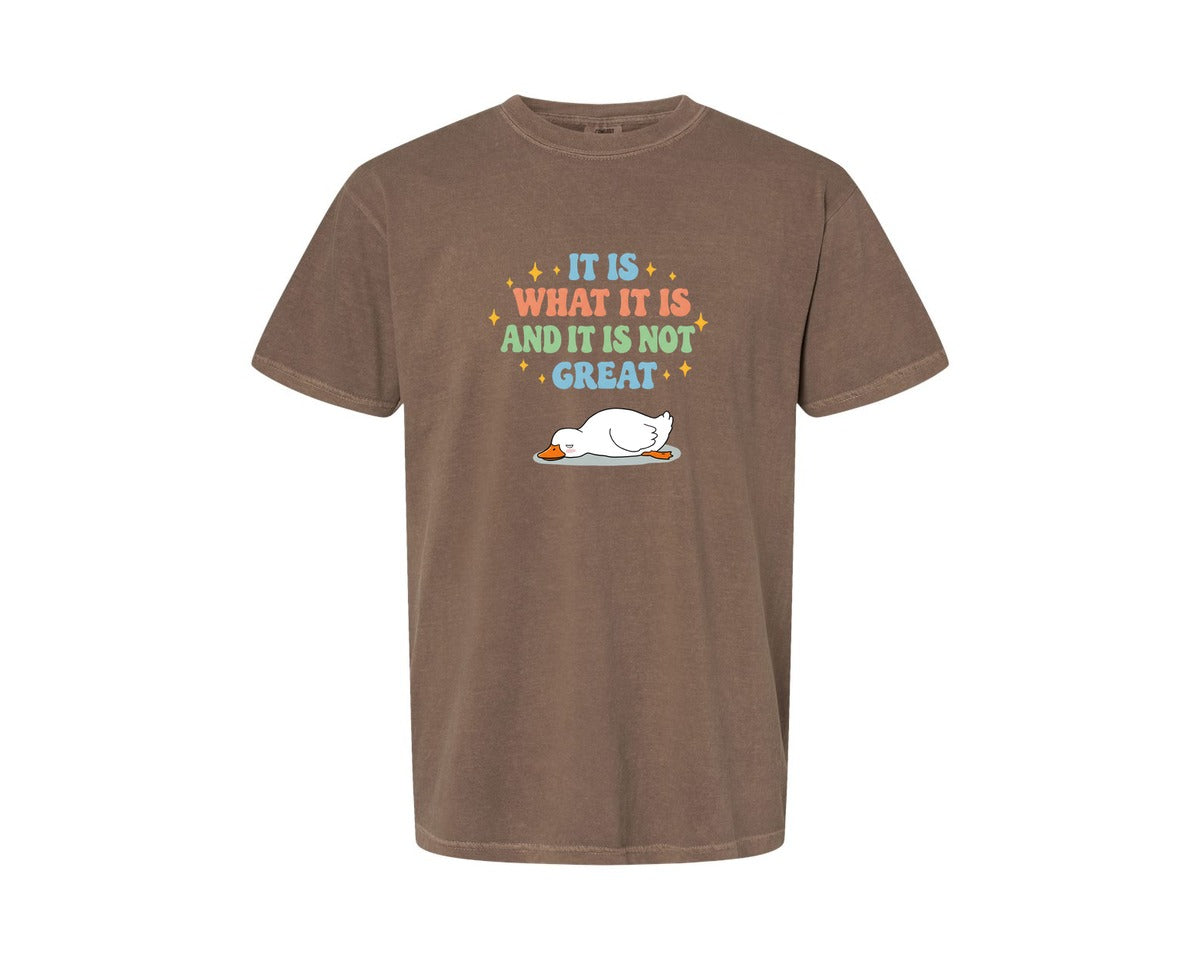 brand:Comfort Colors|color:Espresso|Funny Duck It Is What It Is Graphic T-Shirt
