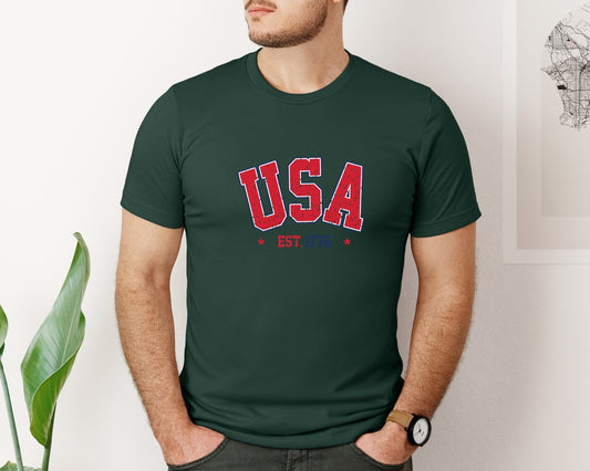 Usa 1776 Independence Day Graphic T-Shirt
