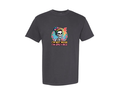 brand:Comfort Colors|color:Graphite|Im Not Mean Im Spicy Nice 3 Graphic T-Shirt