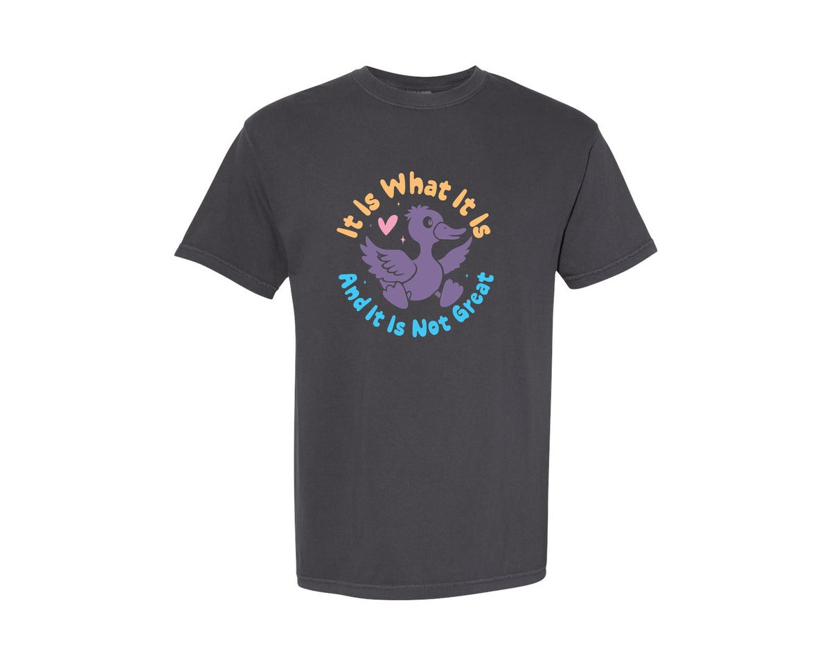 brand:Comfort Colors|color:Graphite|It Is What It Is And It Is Not Great 12 Graphic T-Shirt