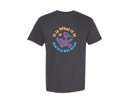 brand:Comfort Colors|color:Graphite|It Is What It Is And It Is Not Great 12 Graphic T-Shirt
