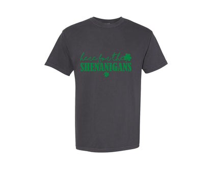 brand:Comfort Colors|color:Graphite|Here For Shenanigans 2 Graphic T-Shirt