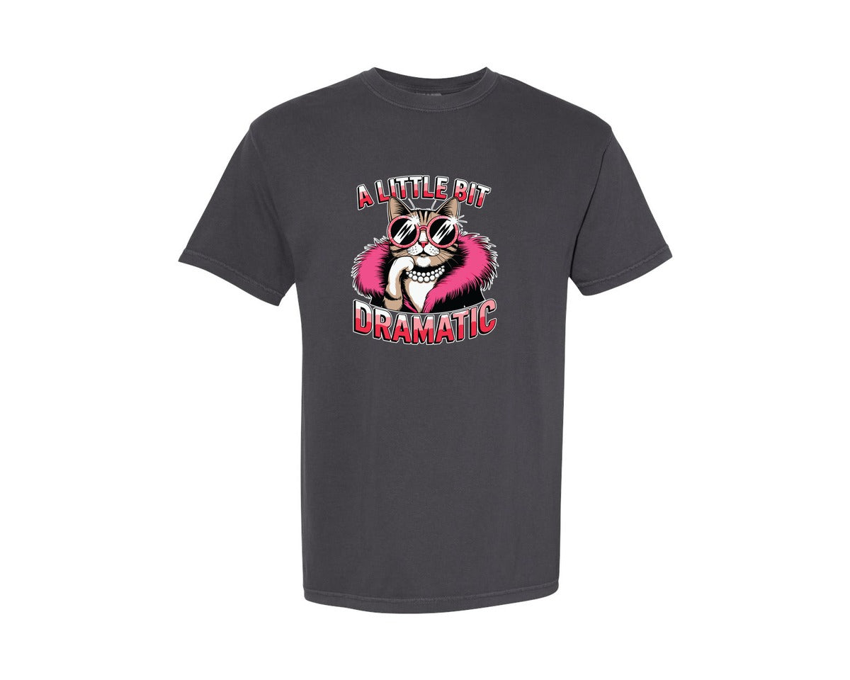 brand:Comfort Colors|color:Graphite|Sarcastic Cat Graphic T-Shirt