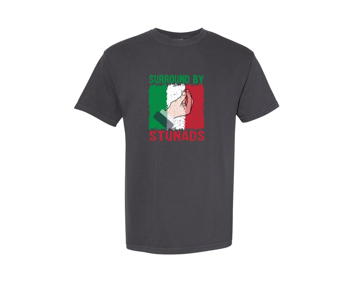 brand:Comfort Colors|color:Graphite|Surround By Stunads T Shirt Design Graphic T-Shirt