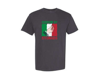 brand:Comfort Colors|color:Graphite|Surround By Stunads T Shirt Design Graphic T-Shirt