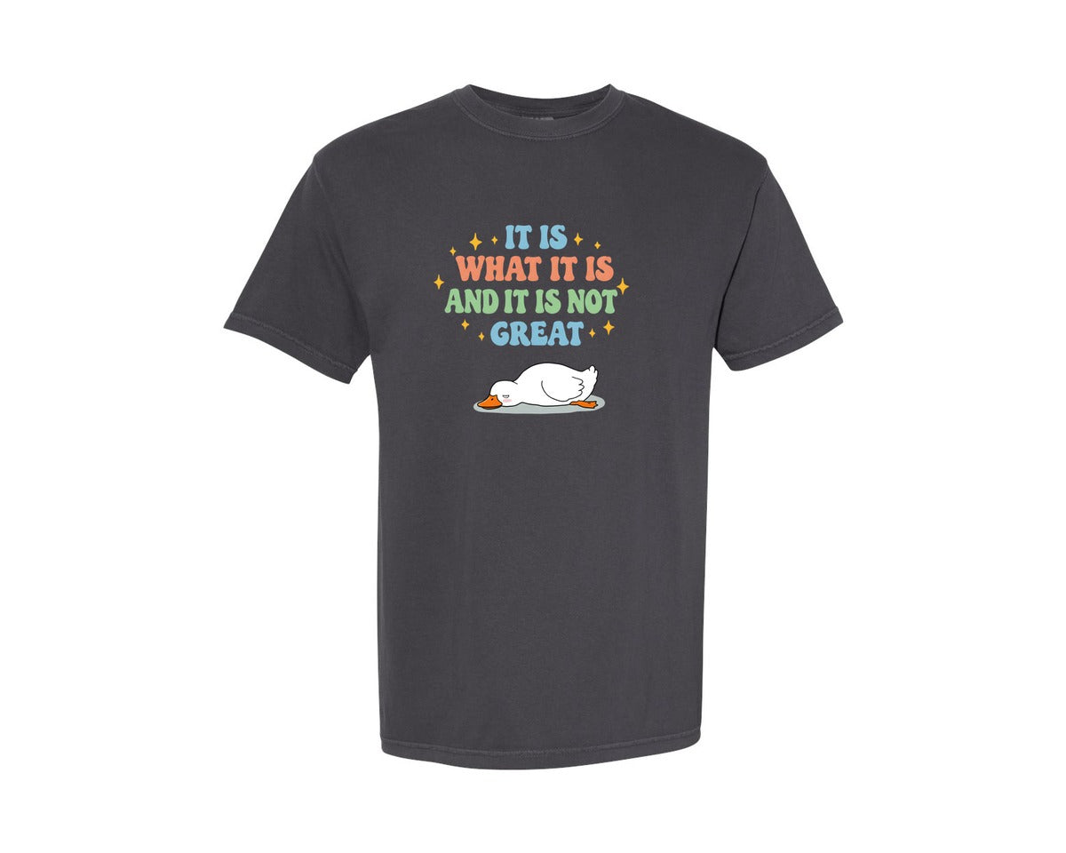 brand:Comfort Colors|color:Graphite|Funny Duck It Is What It Is Graphic T-Shirt