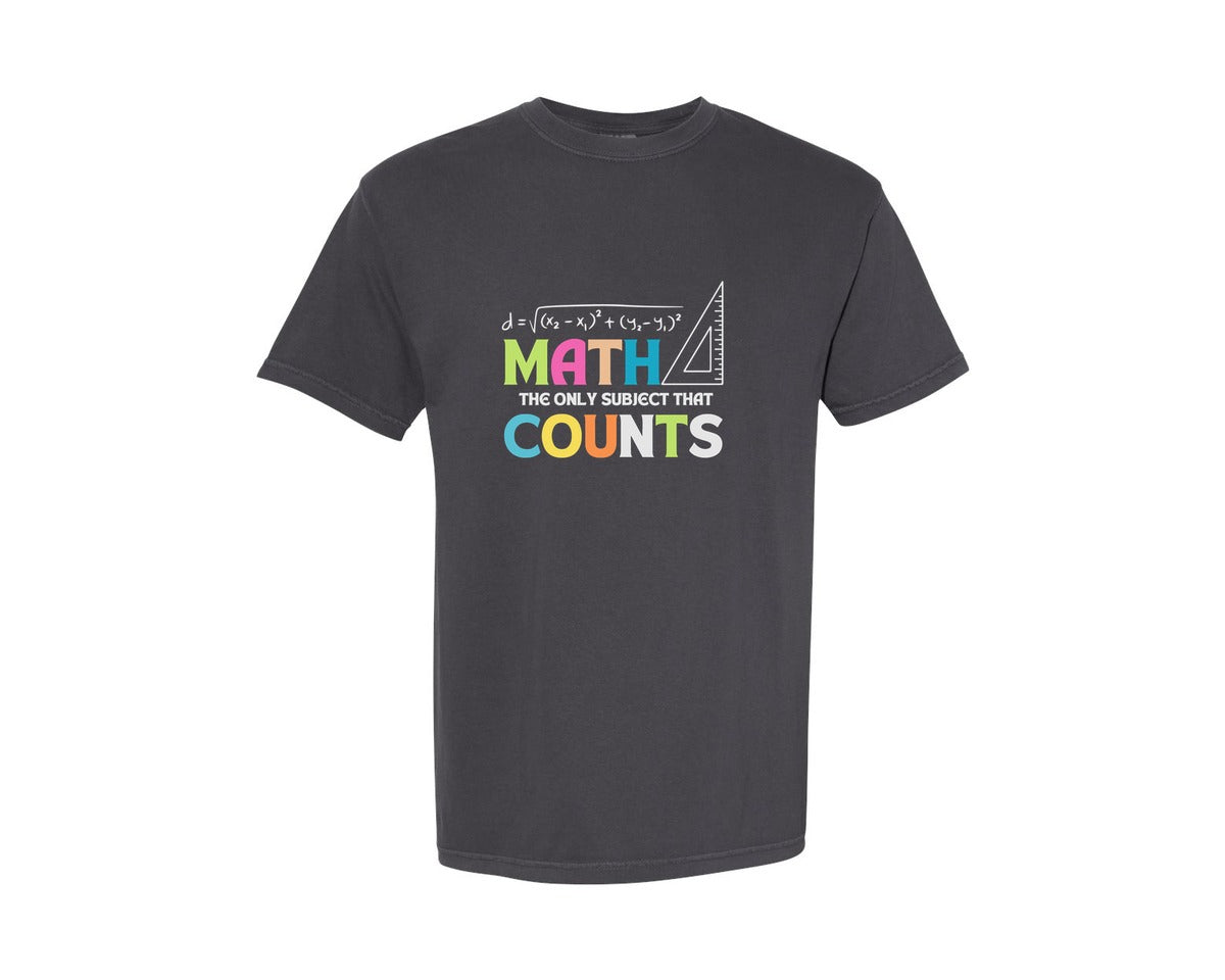 brand:Comfort Colors|color:Graphite|Math Teacher Math The Only Subject Graphic T-Shirt