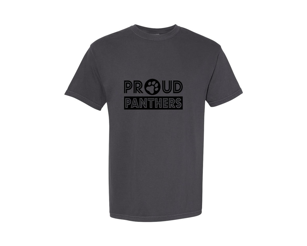 brand:Comfort Colors|color:Graphite|Panthers 4 In 1 Pack Graphic T-Shirt