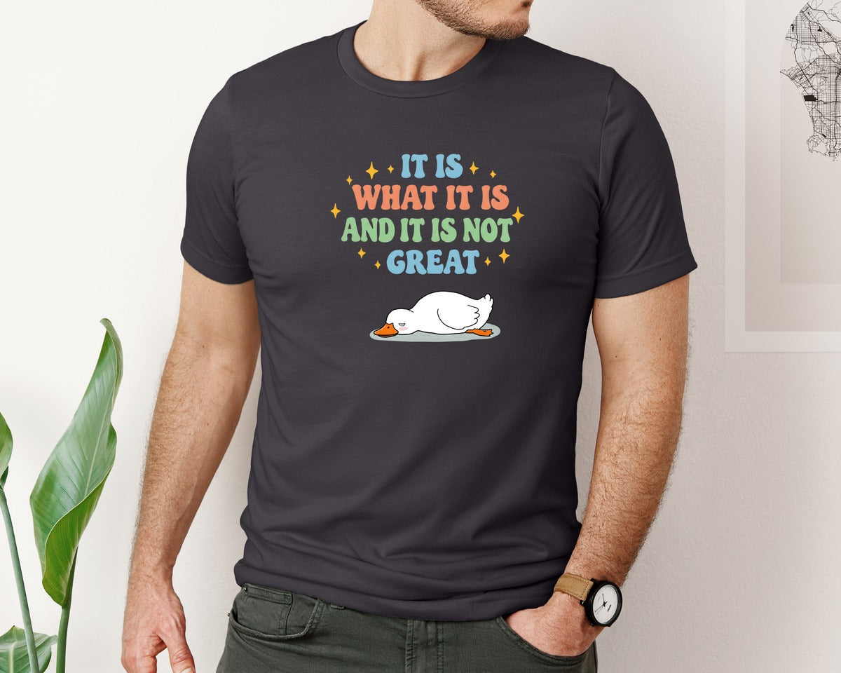 brand:Bella Canvas|color:Heather Dark Grey|Funny Duck It Is What It Is Graphic T-Shirt