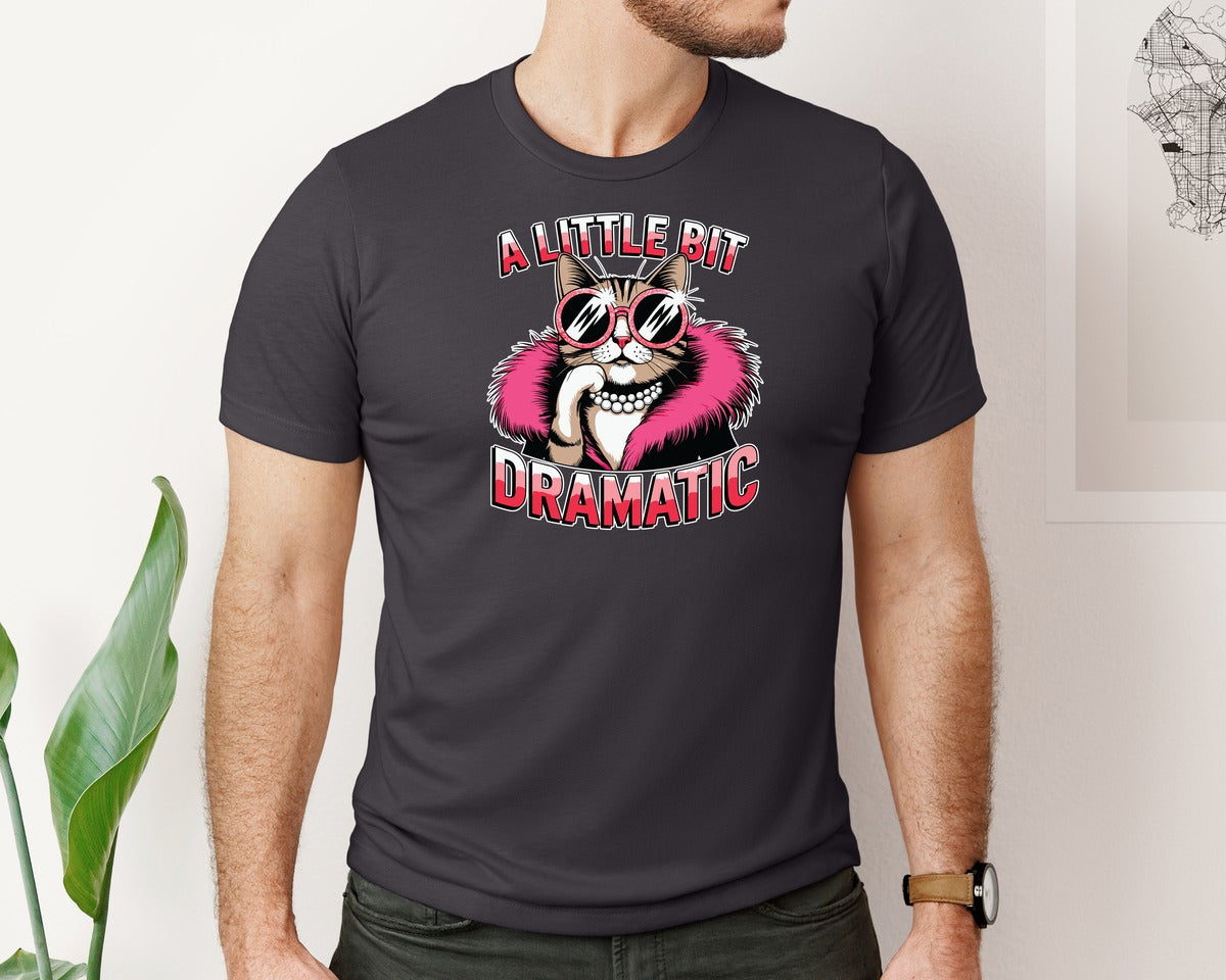 brand:Bella Canvas|color:Heather Dark Grey|Sarcastic Cat Graphic T-Shirt