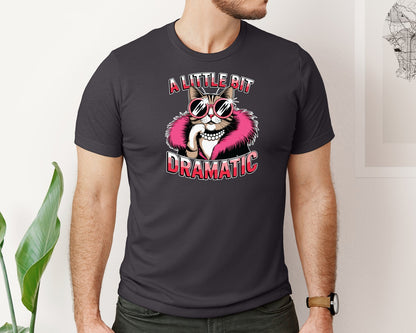 brand:Bella Canvas|color:Heather Dark Grey|Sarcastic Cat Graphic T-Shirt